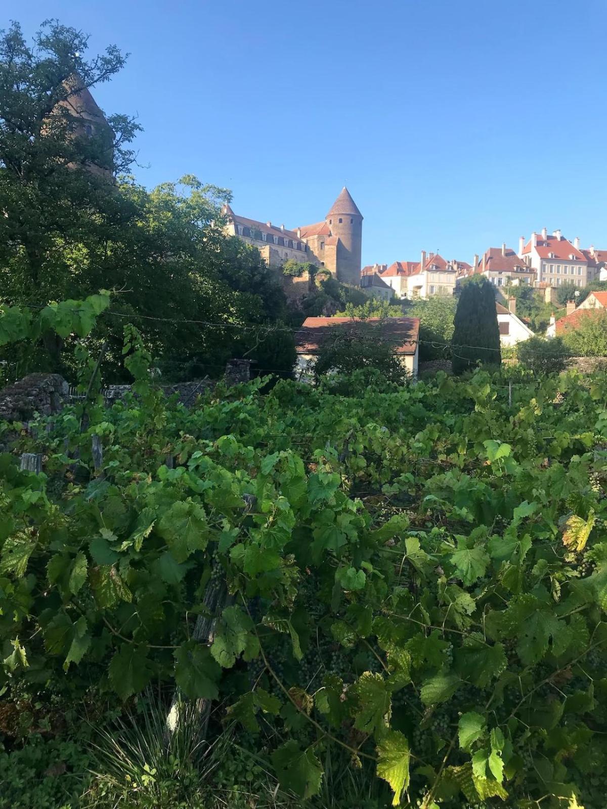Grande Maison A Semur En Plein Coeur Historique Villa Luaran gambar